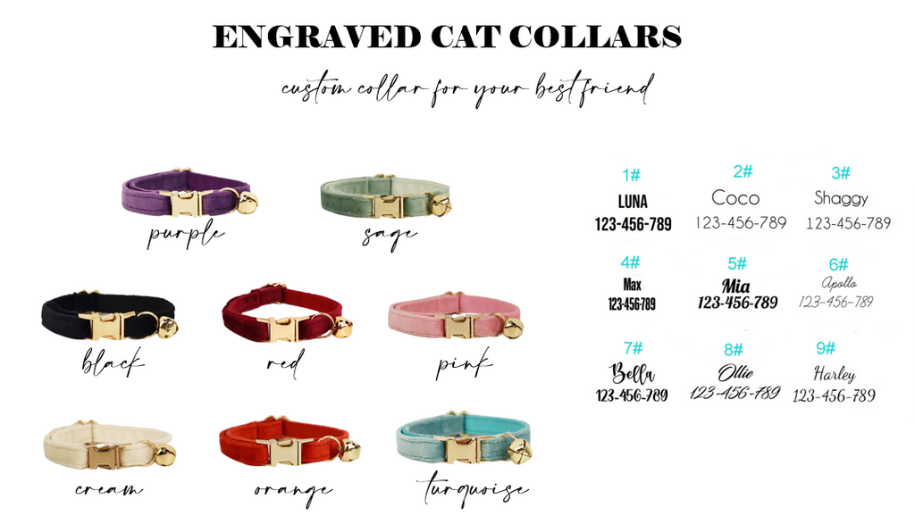 PREORDER: Engraved Cat Collars 5.20.24 osym